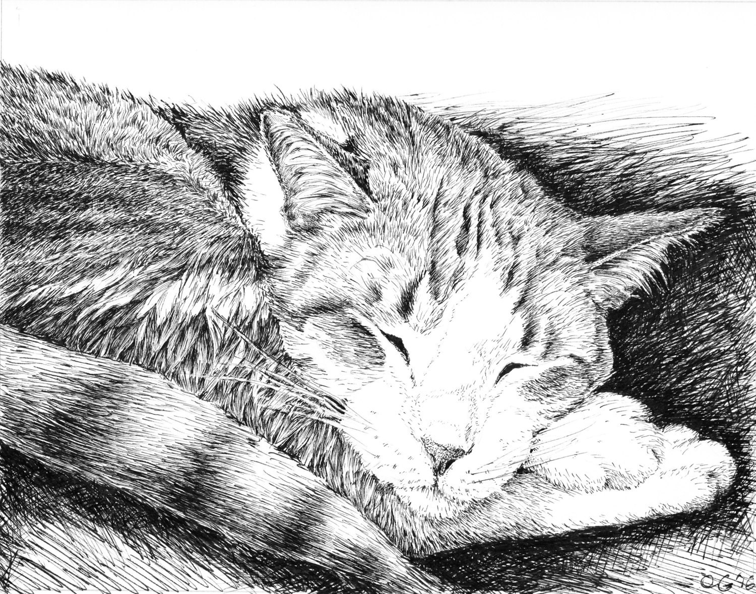 Animal Sketches Cat Art Prints Black and White Pen and Ink - Etsy Animal Sketches Cat Art Prints Black and White Pen and Ink - Etsy