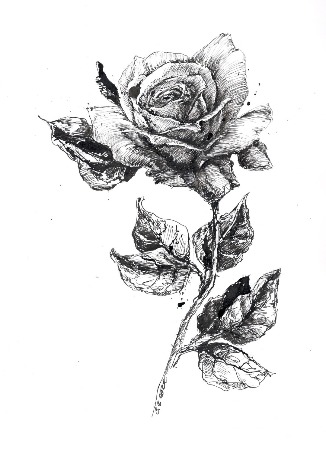 How to Draw a Realistic Rose for Beginners •Art Instruction Blog