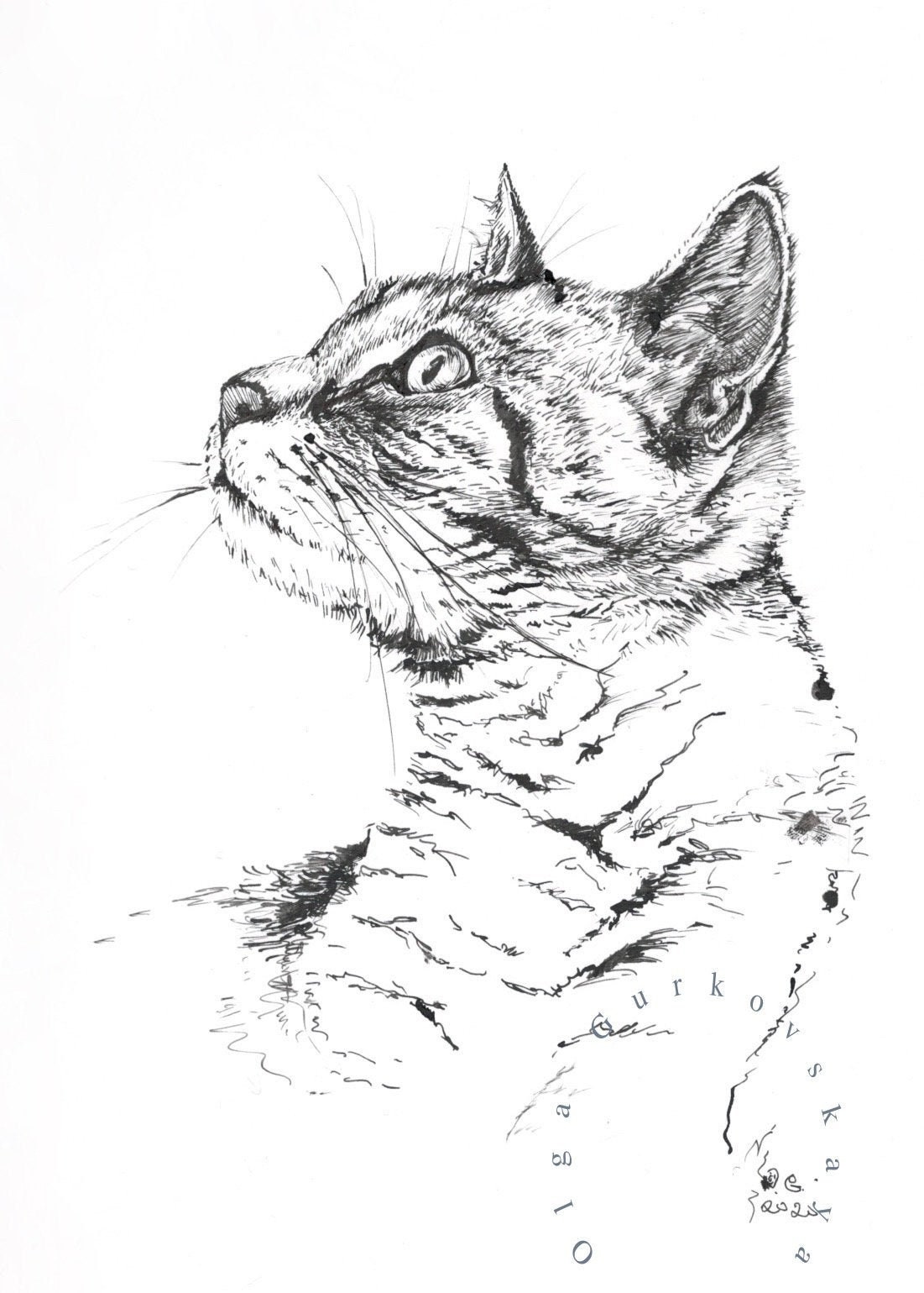 Angry cat line drawing art | Art Print