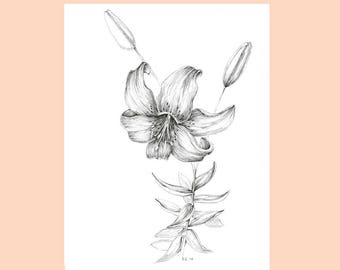 タイガーリリーの花の絵、庭の植物のイラスト、オリジナルの花の壁の