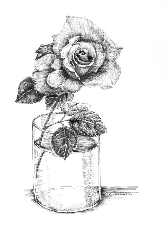 Dibujo de rosas en blanco y negro flores de bocetos a pluma y - Etsy México