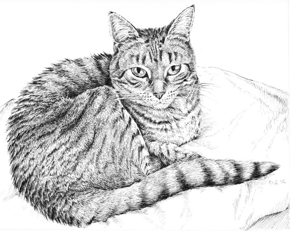 Dessin De Chat Noir Et Blanc Tumblr