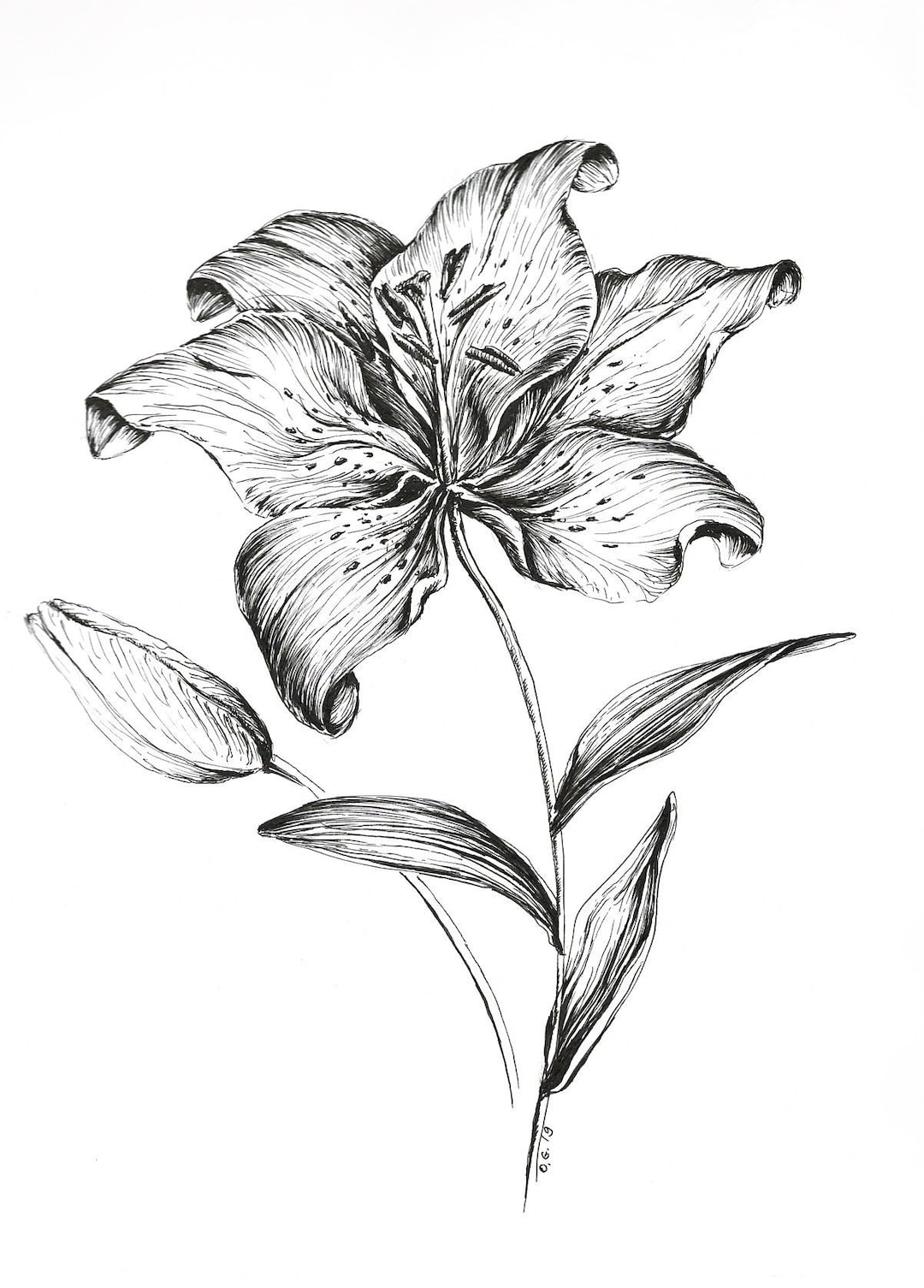 A flower sketch Royalty Free Vector Image - VectorStock