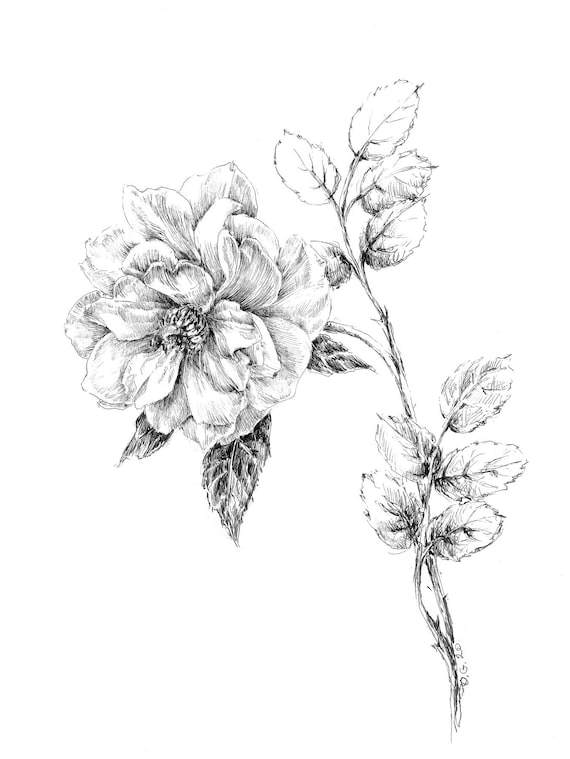 Flower pen drawing deals