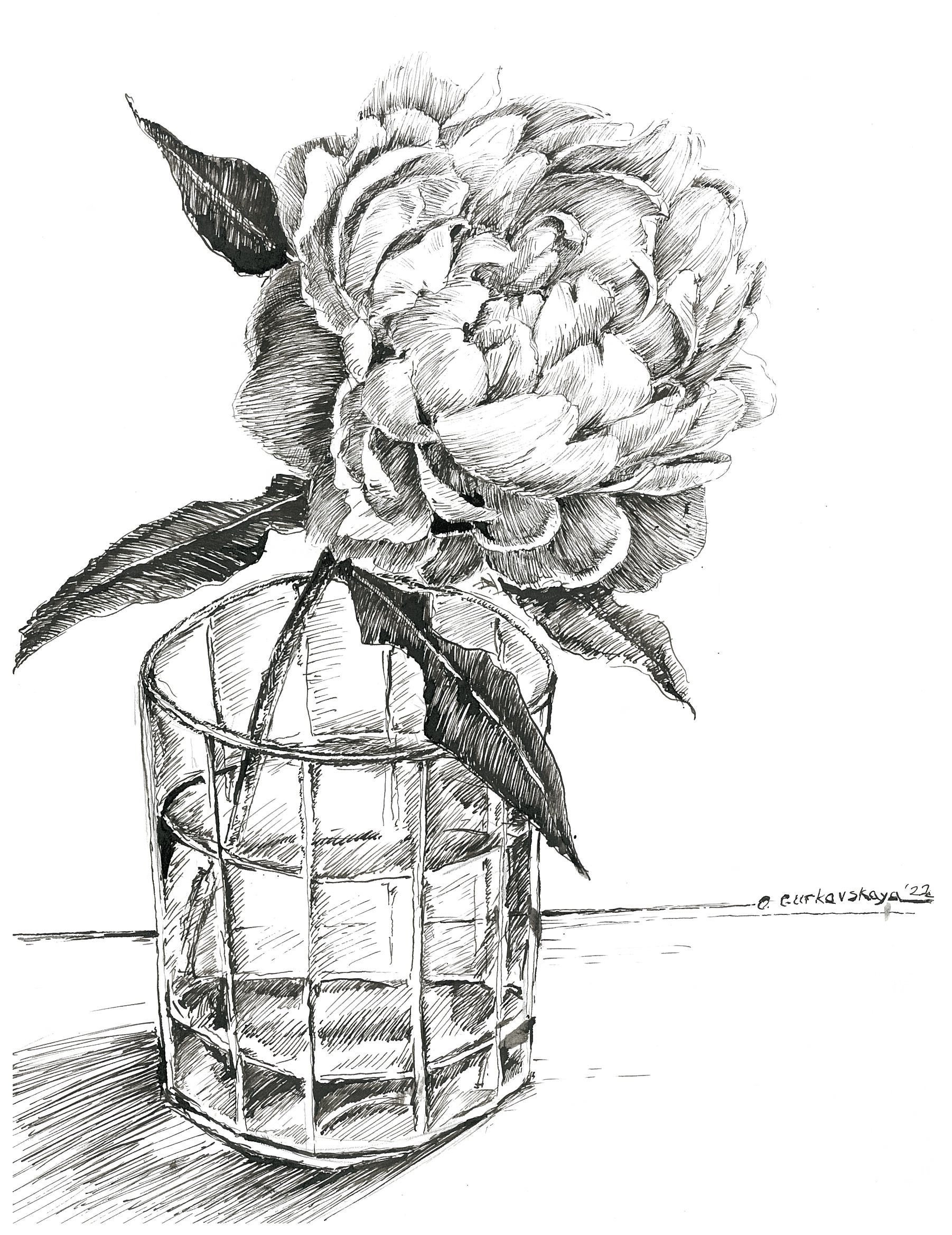 Flower ink drawing deals