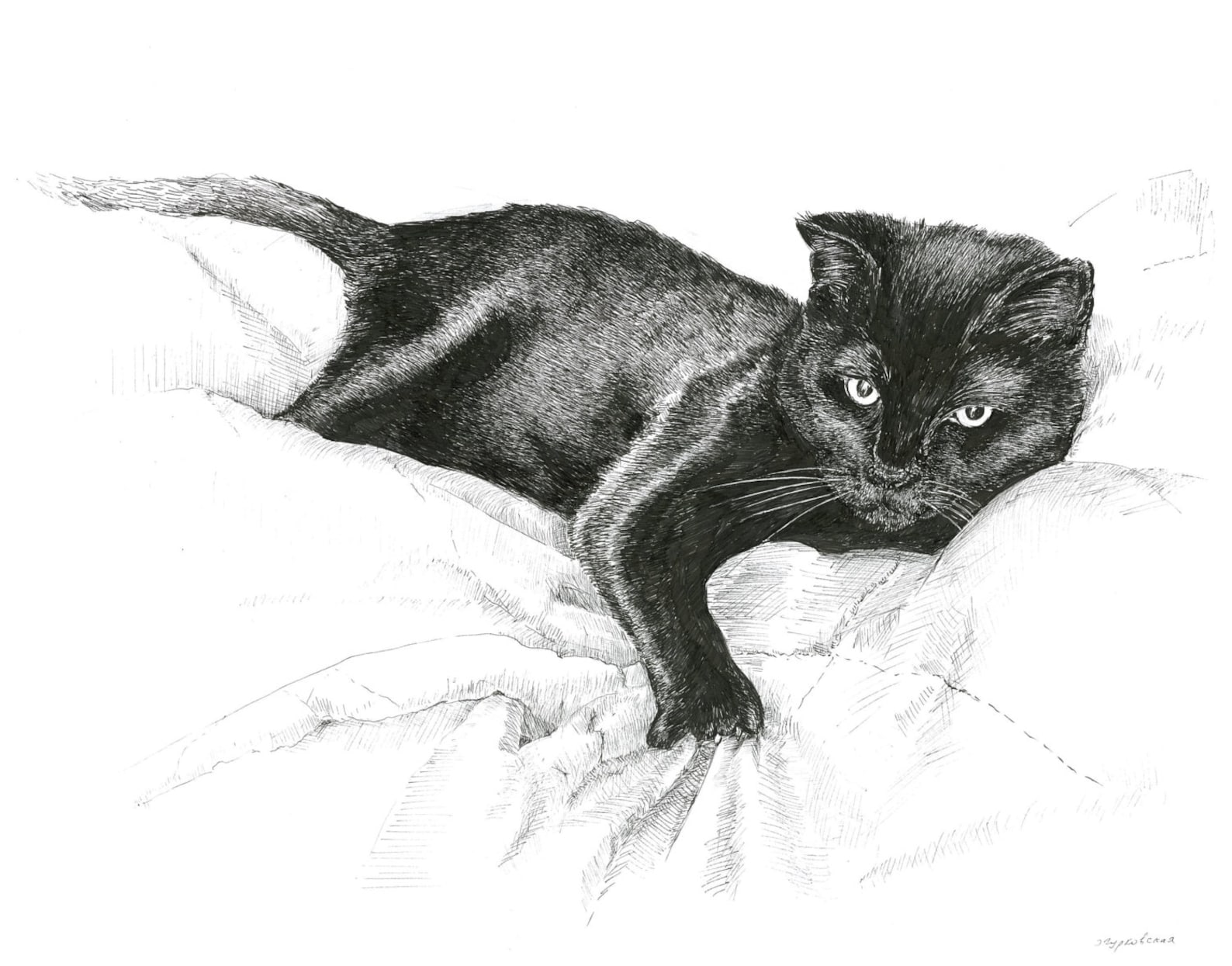 Black cat illustration black and white pictures prints of Etsy