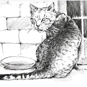 絵 リトグラフ 猫 ねこ Cat モノトーン イラスト ナチュラル 海外作家 絵 リトグラフ 猫 ねこ Cat モノトーン イラスト ナチュラル