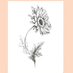 Pode incluir: Um desenho a preto e branco de uma &uacute;nica margarida com um caule e folhas.