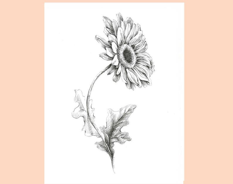 Pode incluir: Um desenho a preto e branco de uma &uacute;nica margarida com um caule e folhas.
