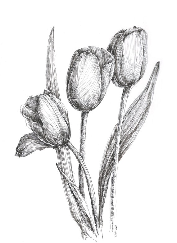 Tattoo Art Marjolijn - 🌿 Flowers in pen #flowers #pendrawing  #blackandwhite #drawing #poppy #anemone | Facebook