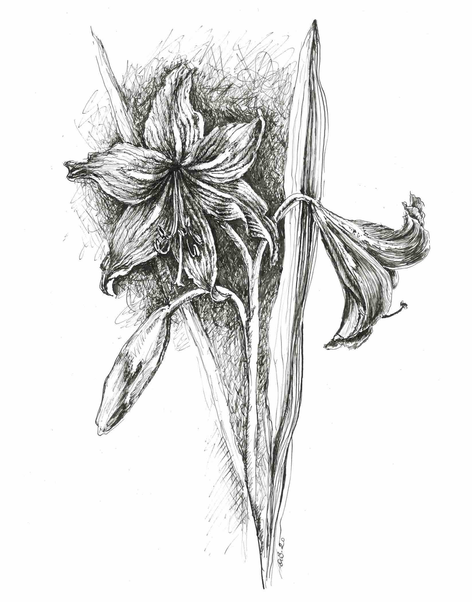 Black Floral Paper Ink Pencil Drawing Stock Illustration 2058480713