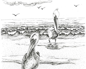 seascape print, coastal home prints, beach drawing, pelican art print, marine artwork, nautical sketches, sea pen ink, black and white