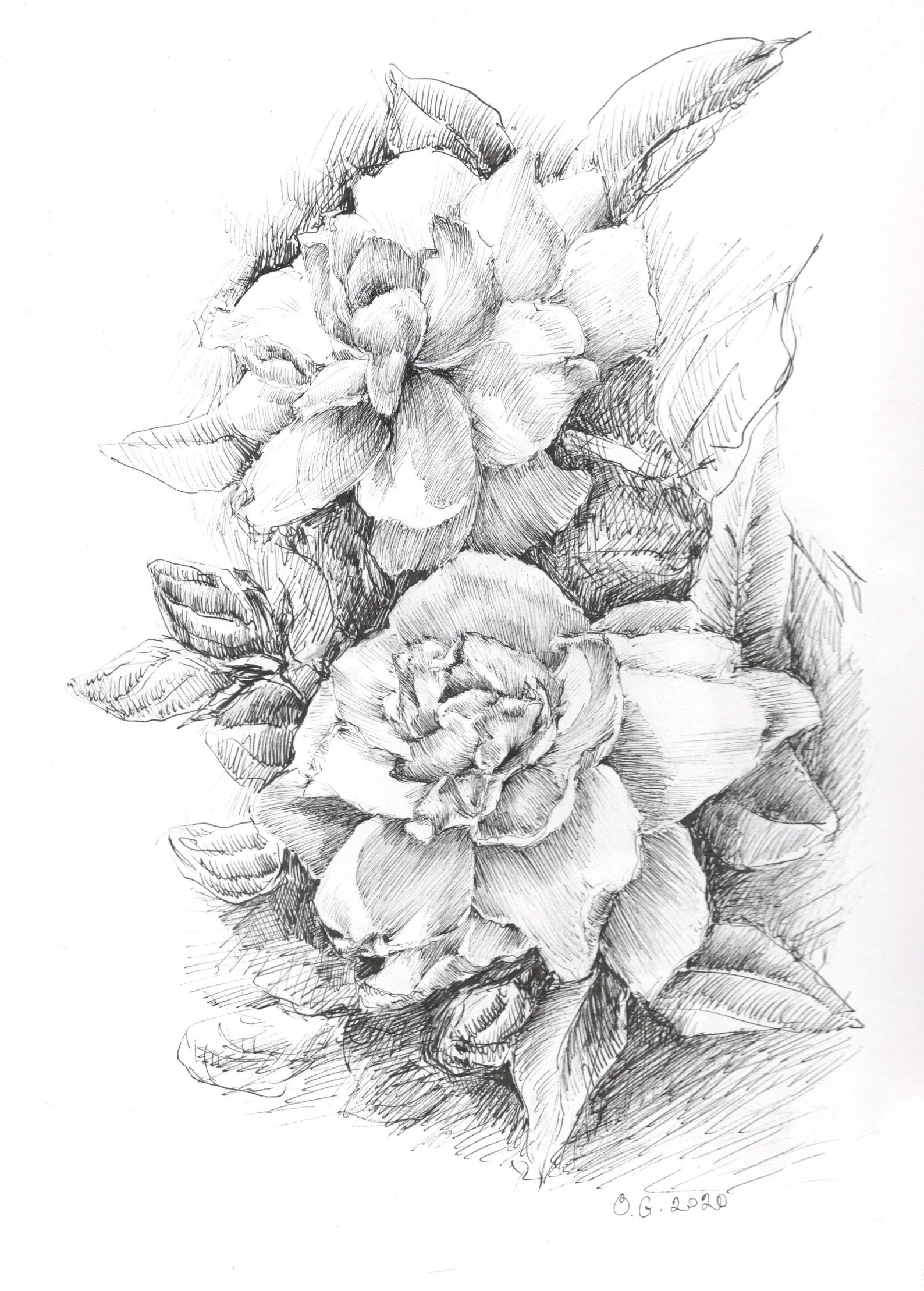 Flower Art Print Black and White Gardenia Print Gardenia Etsy