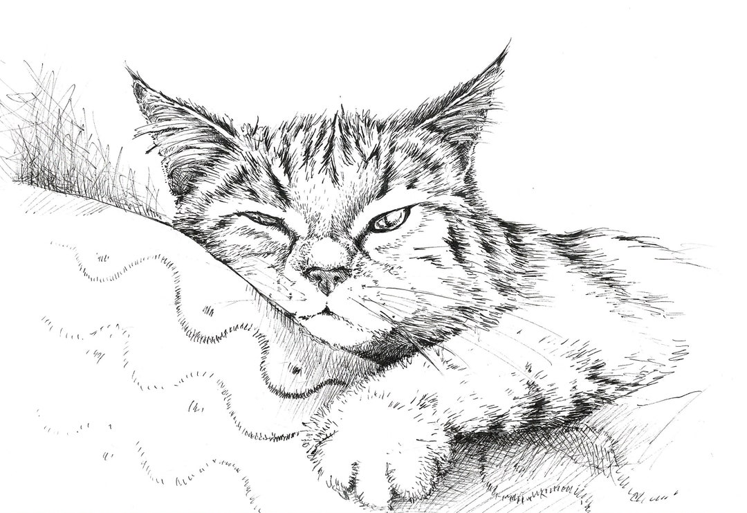 Cute Cartoon Cat Set Stock Illustration - Download Image Now - Domestic Cat,  Cute, Illustration - iStock