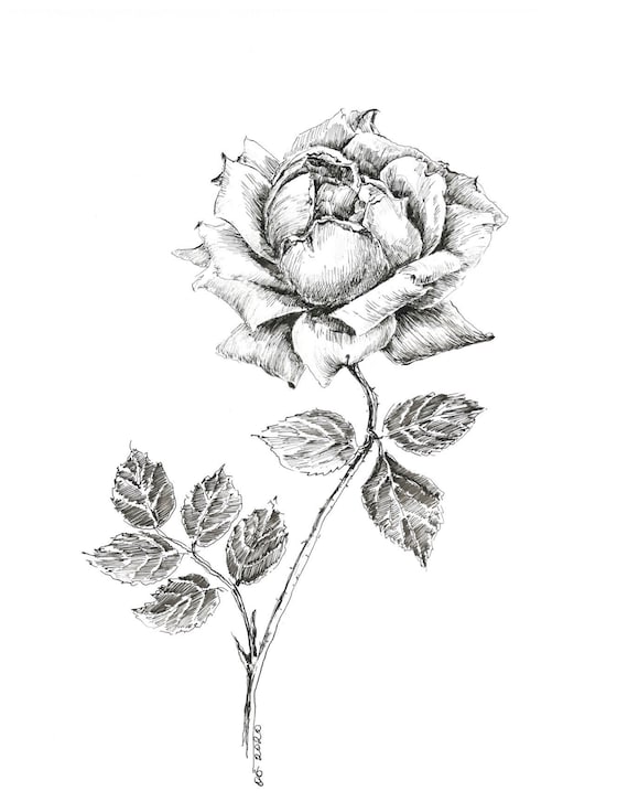 Art Rose Et Noir