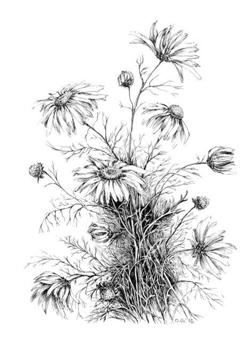 Wildflower art black and white botanical print flower Etsy