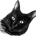 Owner of <a href='https://www.etsy.com/shop/KrazyKatLady2015?ref=l2-about-shopname&from_page=listing' class='wt-text-link'>KrazyKatLady2015</a>
