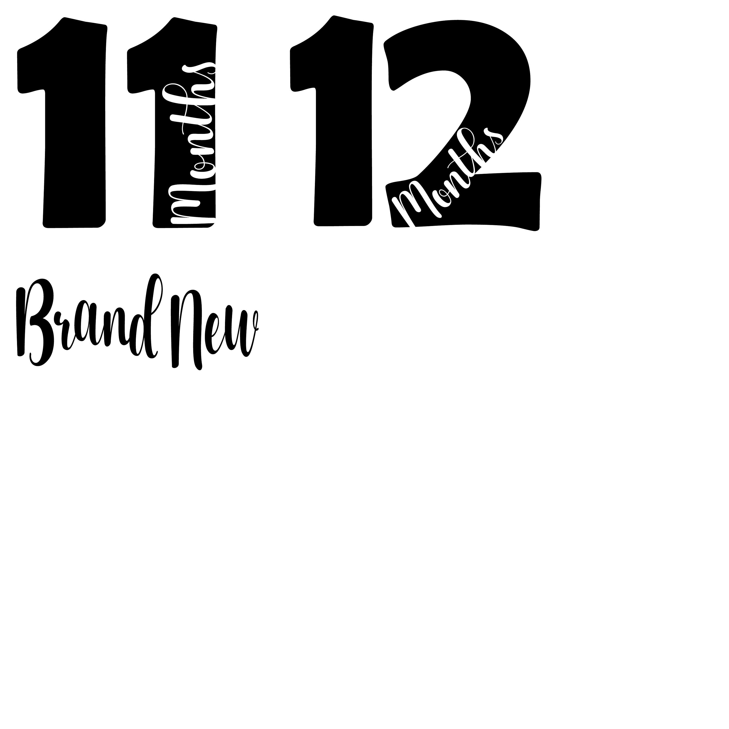 12 Month Onesie SVG Designs Baby Monthly Designs | Etsy