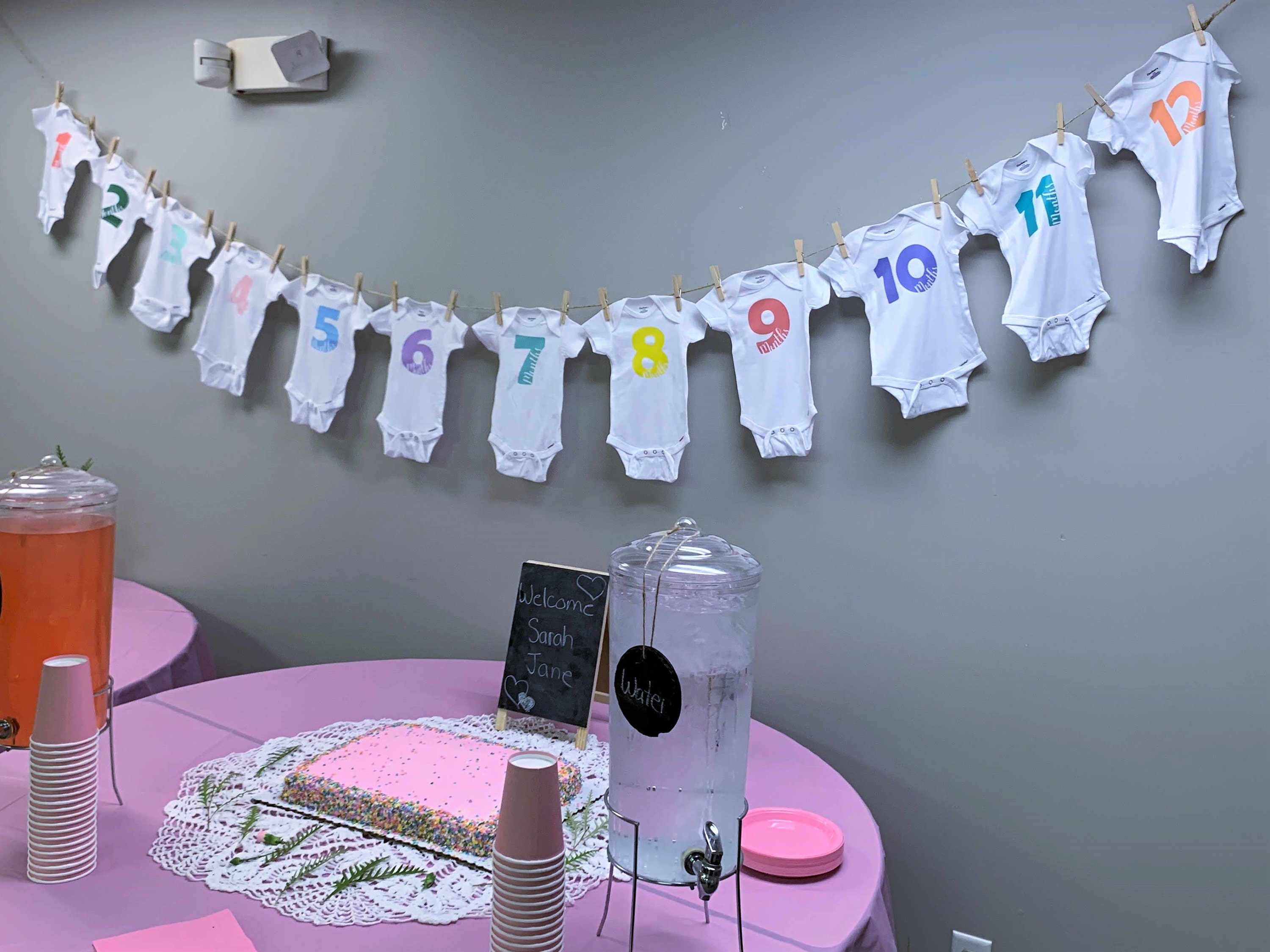 12 Month Onesie SVG Designs, Baby Monthly Designs - Etsy