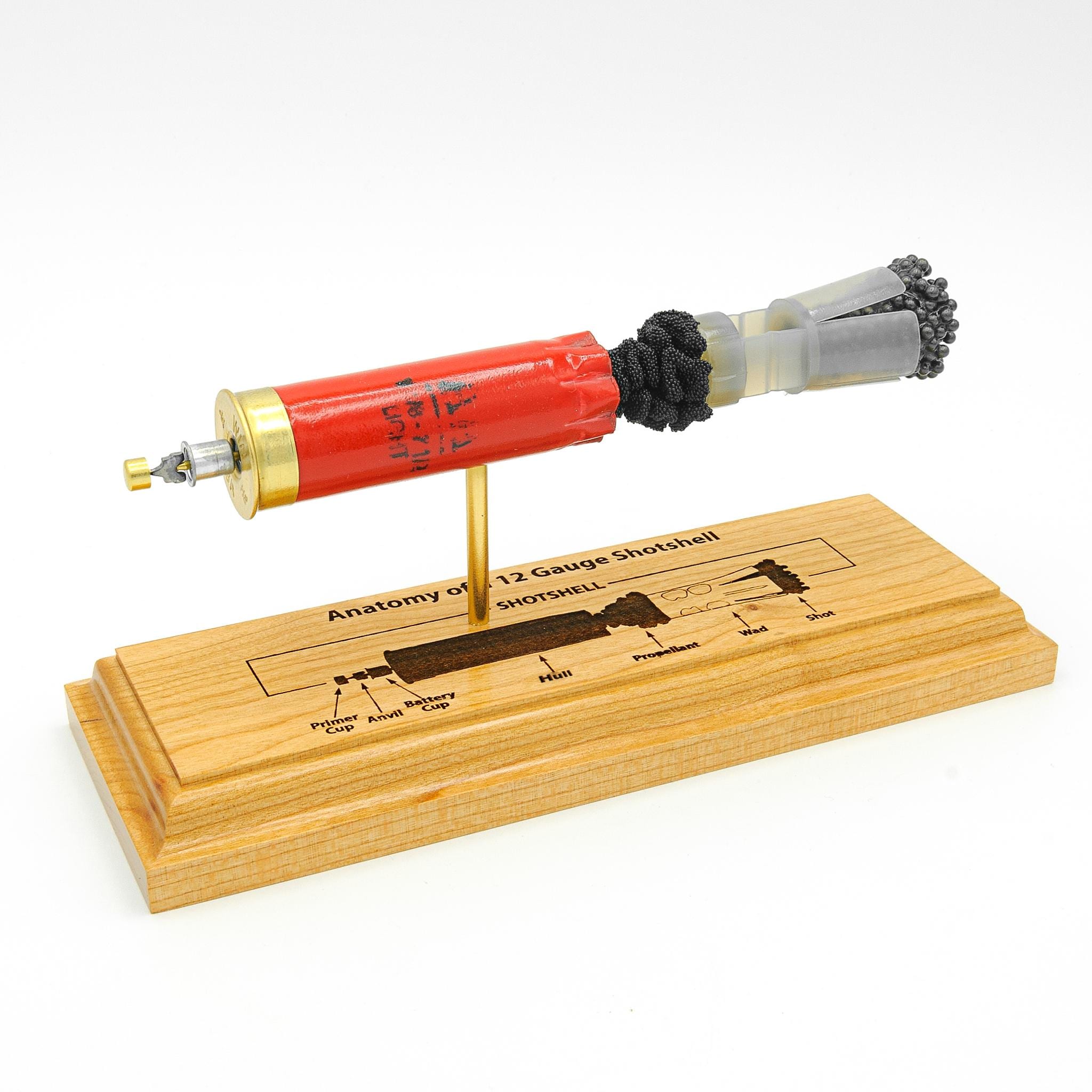 Shotshell Display Anatomy of a 12 Gauge Shotshell Display - Winchester AA #7.5 Shot Model ...