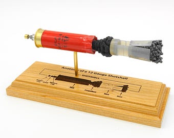 Anatomi av en 12-kalibers hagelpatrondisplay - Winchester AA #7.5-modell - Graverad bas, pedagogisk ammunitionspresent för skyttar och samlare