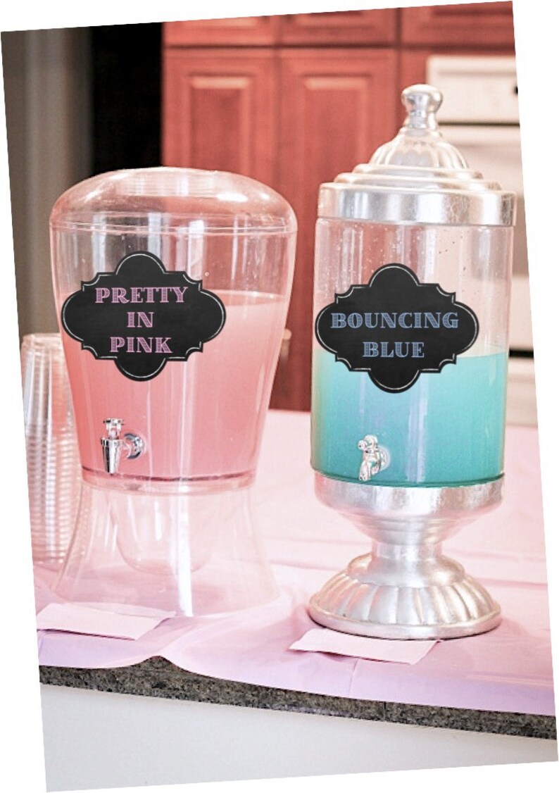 Gender Reveal Gender Reveal Ideas Gender Reveal Party Etsy