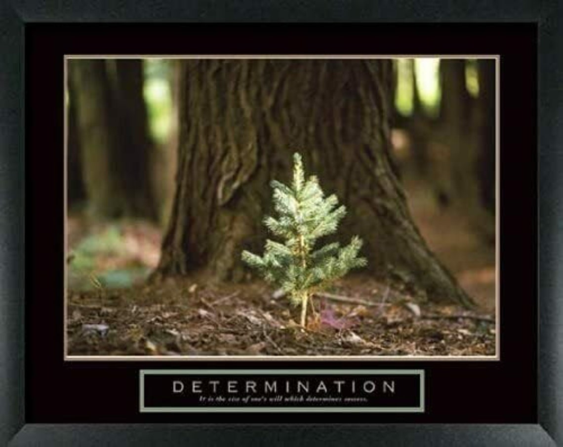 8 Framed Motivational Posters Inspirational Office Decor Etsy