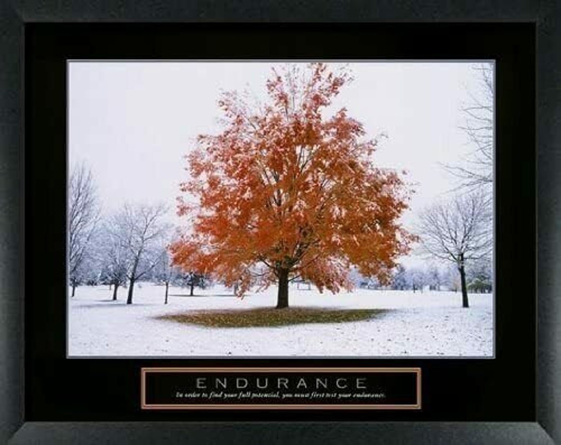 8 Framed Motivational Posters Inspirational Office Decor Etsy