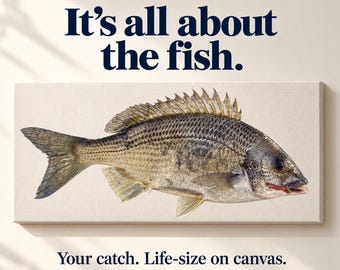 Custom Life-Size Fish Portrait from Your Photo - Like Taxidermy on Canvas - Stretched Canvas or Print
