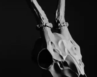 Deer Skull | Multiple Sizes (S-XL) | Statues & Figures | Halloween