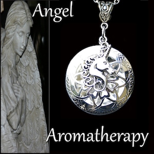 Essential Oil Diffuser Silver Unicorn Necklace Young Living Doterra Aromatherapy