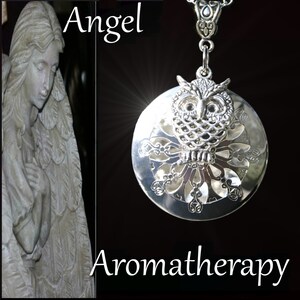 Essential Oil Diffuser Silver Owl Necklace Young Living Doterra Aromatherapy
