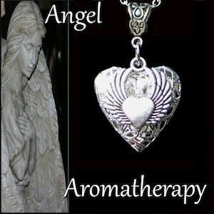 Essential Oil Diffuser Heart Angel Wings Necklace Young Living Doterra Aromatherapy
