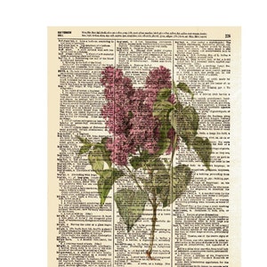 Dictionary digital art print, vintage print