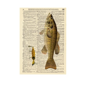 Vintage dictionary wall art large mouth bass