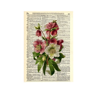 digitalVintage diccionario de arte mural con gráfico floral rosa