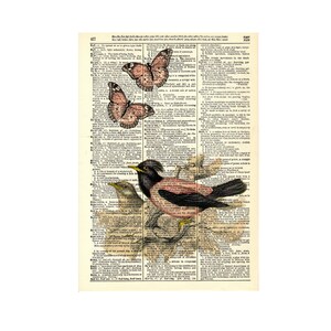 Vintage Dictionary wall art with vintage pink graphic and butterflies