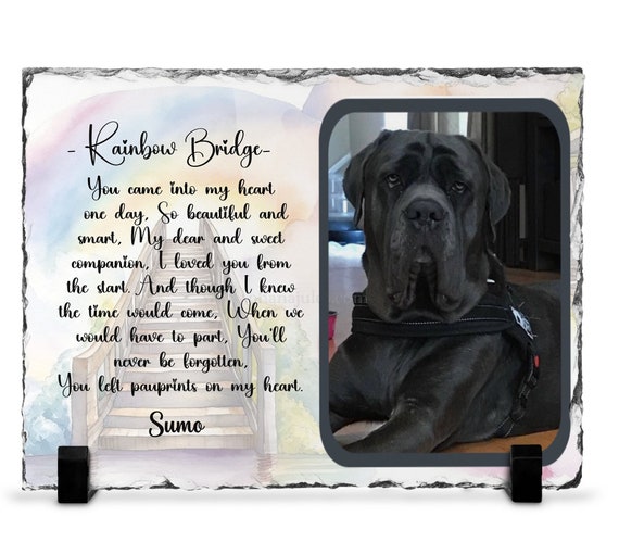 Photo slate, Picture , Remembrance Gift, Pet Memorial Custom, Personalized gift, Pet photo, Cat loss, Pet Sympathy