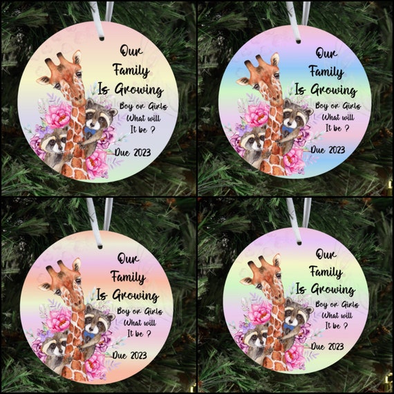 Birth announcement, Special delivery, North Pole, Christmas Ornament, Baby Boy, Baby Girl, Newborn, Pregnancy announcement