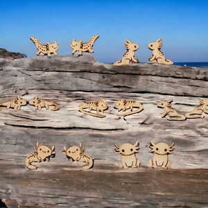 May include: A collection of wooden axolotl figurines in various poses, some are walking, some are sitting, and some are facing each other. The figurines are all made of light brown wood and have black details. The figurines are arranged on a piece of driftwood.