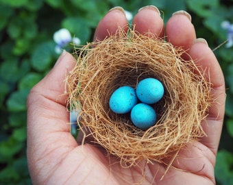 Miniature Bird's Nest, Fairy Garden Nest, With or Without 3 Wooden Eggs, Choose Blue or Unpainted Eggs