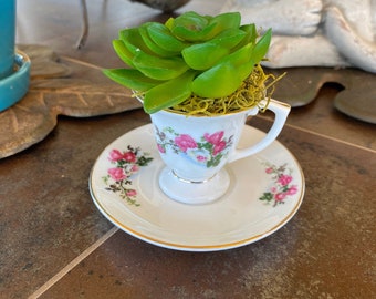 Succulent Plant Potted Cactus, Demitasse Teacup, Potted Cactus, Gift For Mom, Mother's Day Gift, Small Tea Cup with Saucer Planter Cup