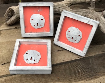 Sand Dollar Coastal Wall Art, Shabby Chic Beach Decor, Set of 3