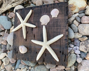 Rustic Starfish Seashell Wall Hanging, Reclaimed Wood Coastal Decor