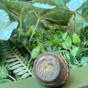 Ancient Djinn Home Protector - Powerful Spiritual Protection for Positive Energy and Peaceful Living size 8