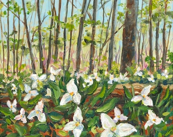 Trillium, Michigan woods, Spring flowers, Flora and Fauna, Betsy ONeill, Michigan artist, Michigan art