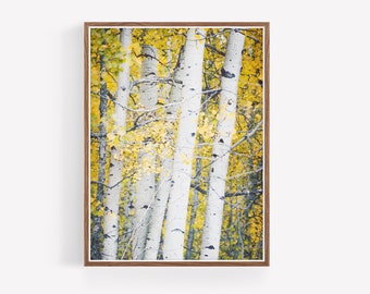 Digital Download - Quaking Aspens - Nature Prints - Printables - large wall art - livingroom wall art - rustic decor - landscape wall art