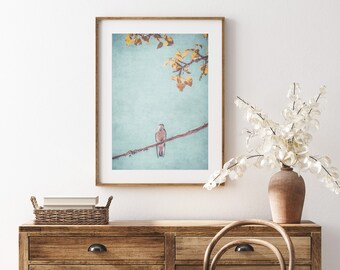 Colorful Bird and Branch Photography Print - instant download print, printable wall art, nursery wall art, modern farmhouse prints, nature