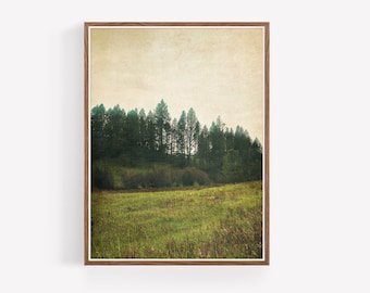 Impresión de fotografía de paisaje de bosque - Decoración Boho - Decoración de granja - Decoración occidental - Arte de pared de paisaje - Descarga instantánea - Arte imprimible
