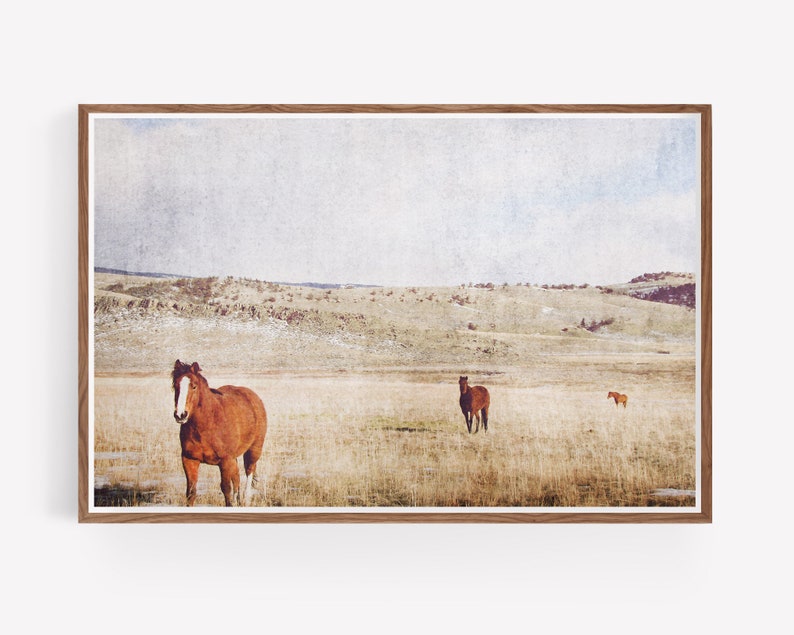 Horses and Pasture Landscape Print Instant Download Prints Rustic Wall Art Large Wall Art Nature Prints Nature Photography Boho image 3